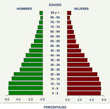 Pirámide de edades de la población del Ecuador segun datos del Censo del 2001