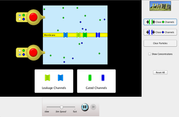 Membrane Channels Screenshot